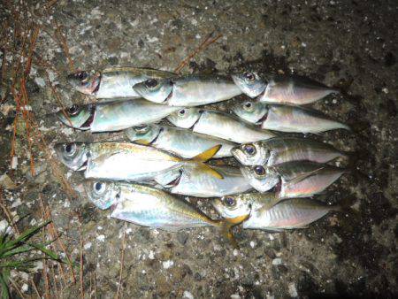 場所とタイミング