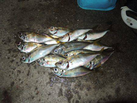 居る所と釣るタイミング