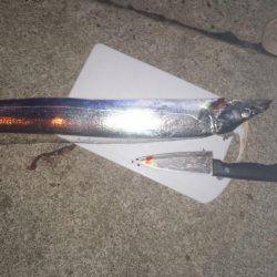 寒い中での釣行