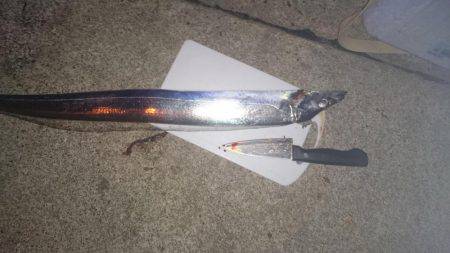 寒い中での釣行