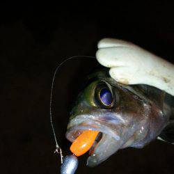 オジサン２人でメリーツリシマス(笑)