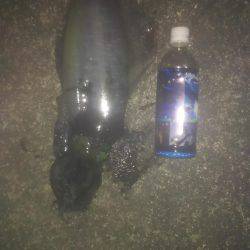 キロアップ釣りました！