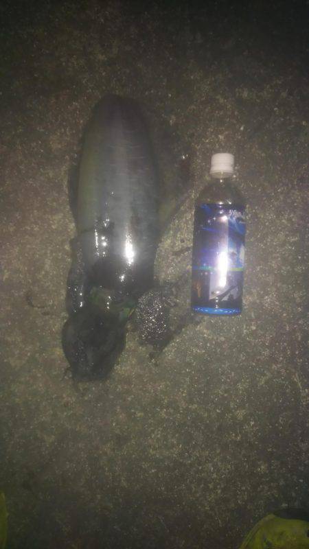 キロアップ釣りました！