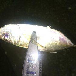 むずかしいアジング