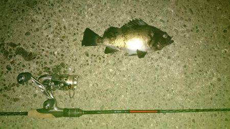 釣り納めにサンタがやってきた