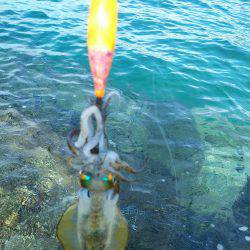 ちっちゃい～～