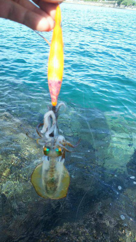 ちっちゃい～～