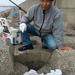 6回目の東二見落ちギス釣行は撃沈