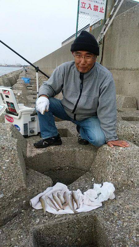 6回目の東二見落ちギス釣行は撃沈