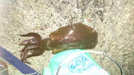 デカいかラッシュや～