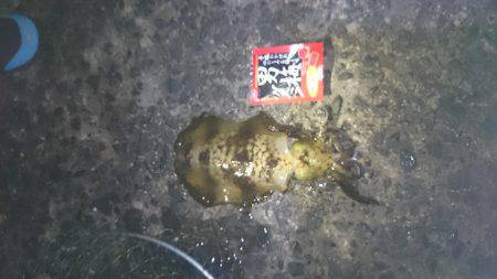 未熟なヤエン師 Lv.1