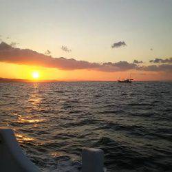 紋甲イカ&金フグ