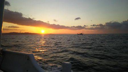 紋甲イカ&金フグ