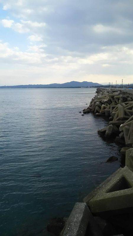 やっぱりサゴシ