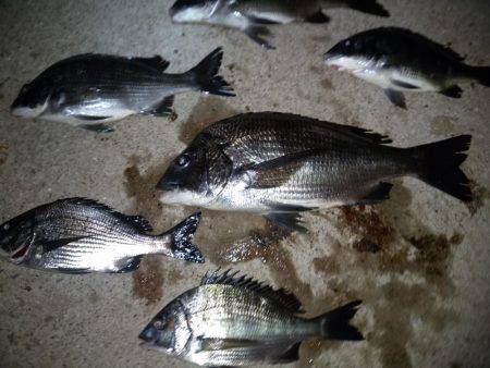 後悔が残る釣行