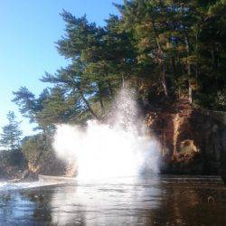 久しぶりにGET！