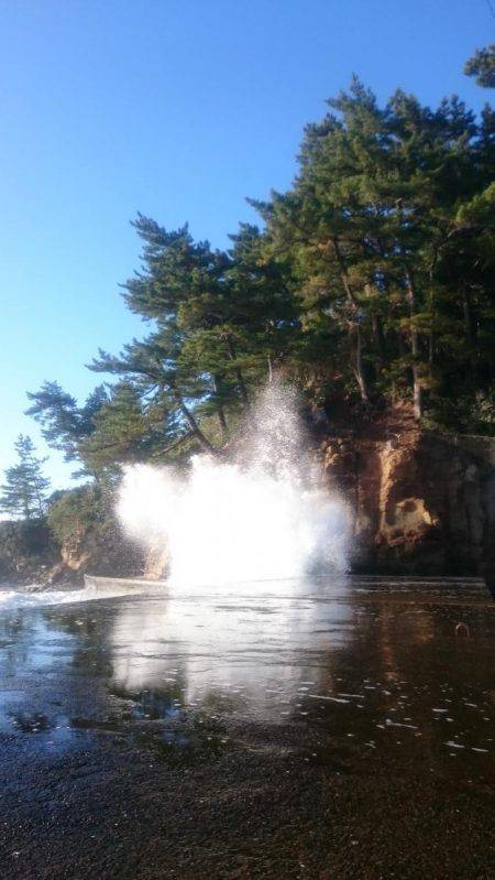 久しぶりにGET！