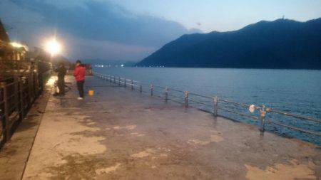 ベイトは極小イワシ