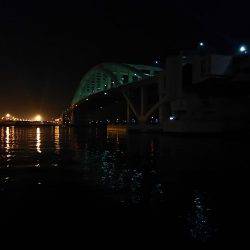 アジはまだいるのかな？