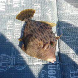 初下津ピアーランド