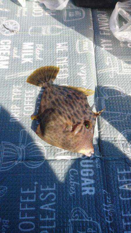 初下津ピアーランド