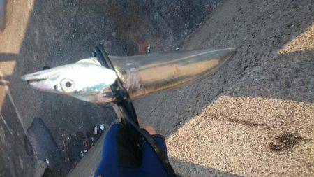 ギリギリセーフ！