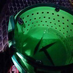 小アジ夕方じあいに入れ食い