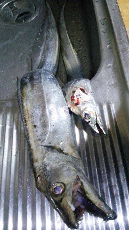 ドラゴンを求めて4