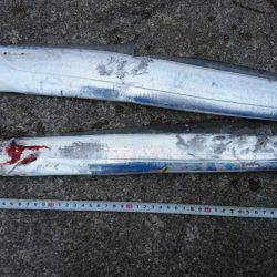 朝マヅメ、ミノーでタチウオ