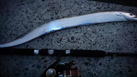 ルアーで太刀魚