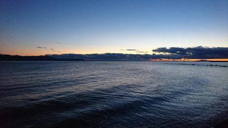 サーフシーバス