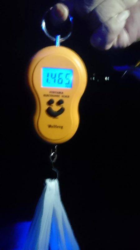 デカイアオリイカ狙いで行って来ました。