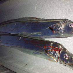 クリスマス釣行…