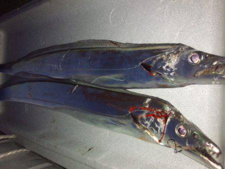 クリスマス釣行…