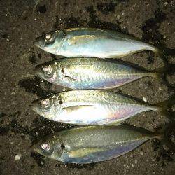 気温は1℃(・・;)