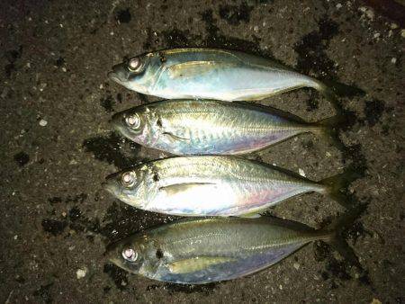 気温は1℃(・・;)