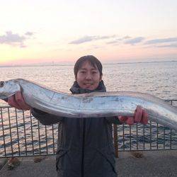 ドラゴン注意報