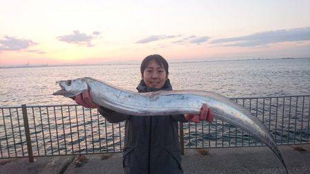 ドラゴン注意報