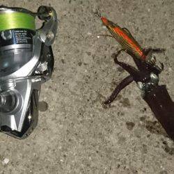 ヒイカエギング