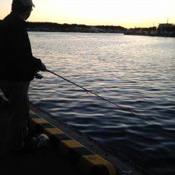 あれこれ仕掛は車に積み込んでおくべきかな
