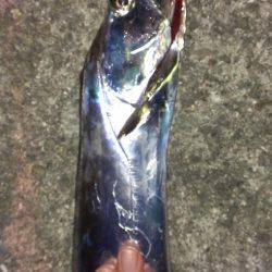 合わせは難しいねえ