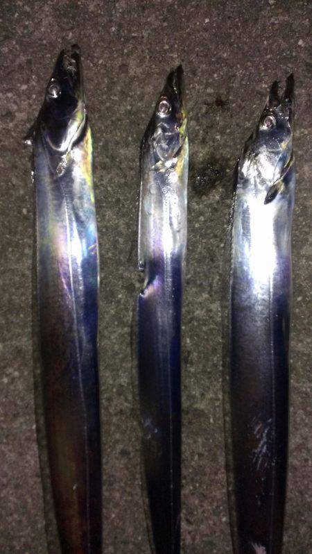 活性上がってる？