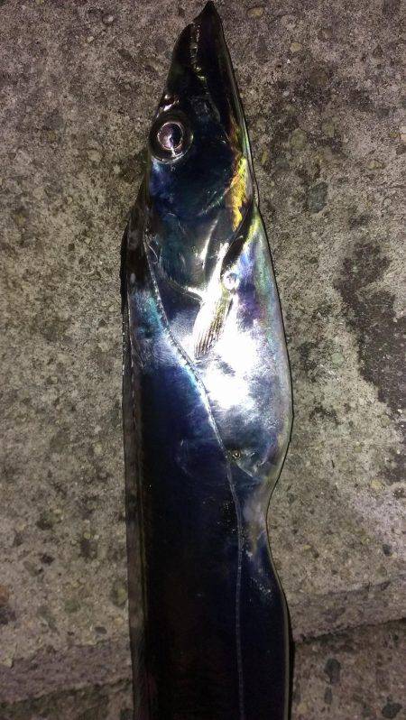 プッツン強制終了