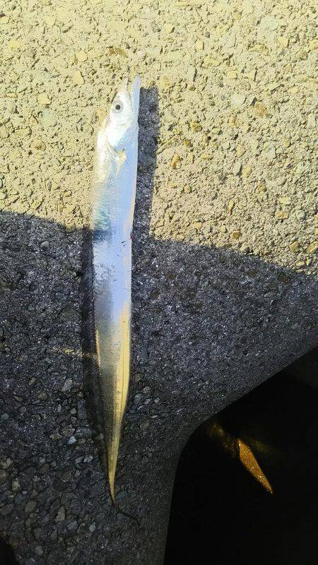 明るくなってから