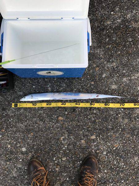 渋い中での一本