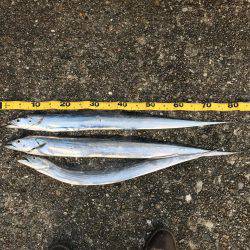 まだおったんか〜い