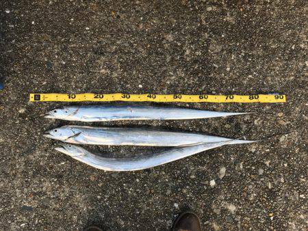 まだおったんか〜い