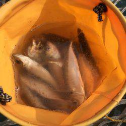 爆風、爆荒れ釣行