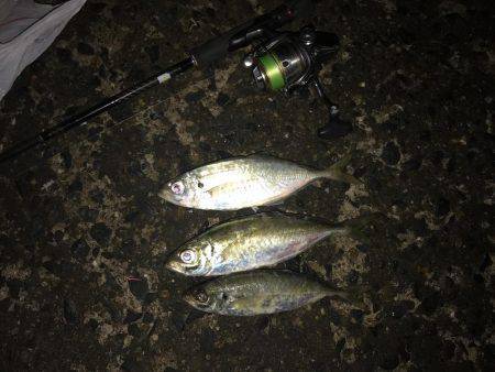 久しぶりにライト