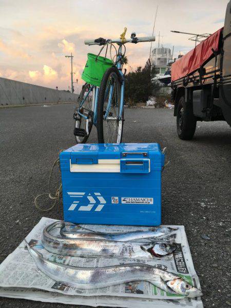 まだ少し居てます